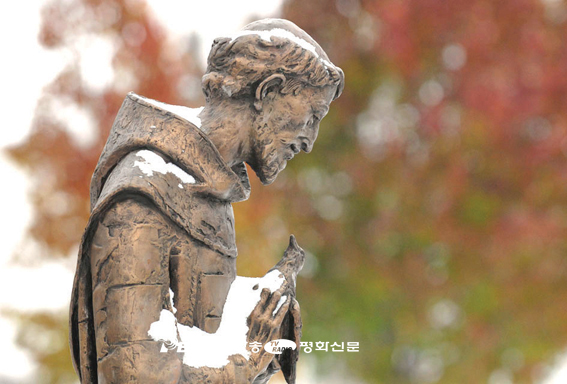 신문기획 이미지